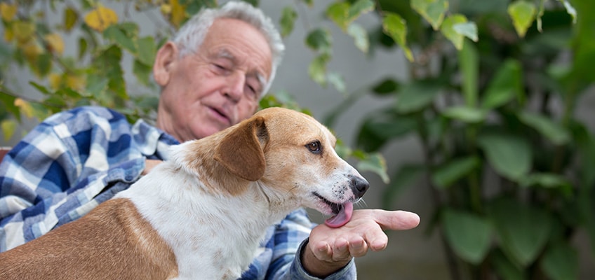 Man interacting with dog